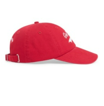 Go Sports Baseball Hat